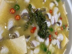 招牌青花椒鱼-青花椒花椒鱼(新百店)