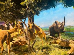 -国家自然博物馆