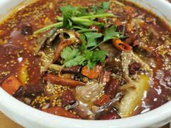 -曾牛肉