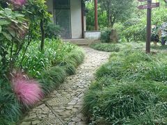 -秋霞圃