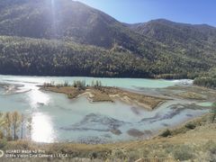 -煲来饱去冷水鱼