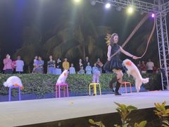 -渔家火锅·海鲜自助餐·演艺(亚龙湾天域酒店)