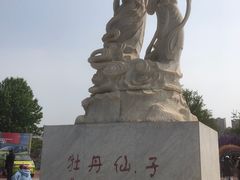 -曹州牡丹园