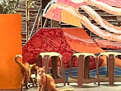 -唐猫庭院·千年陕菜(大唐不夜城店)