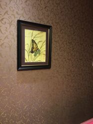 -归真美学颜究中心