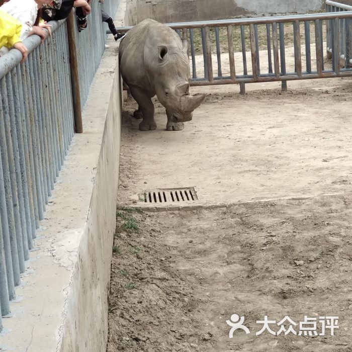 北方森林動物園