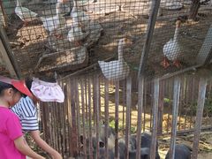-河北村民俗体验园