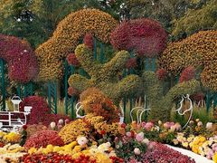 -上海共青森林公园