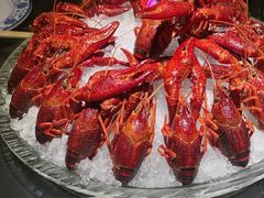 -京悦南门涮羊肉·羊蝎子火锅(田林路店)