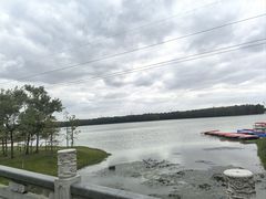 -上海海湾国家森林公园