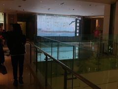 -百丽宫影城(CGS激光苏宁广场店)