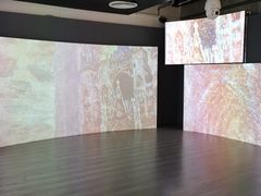 -印象莫奈时光映迹艺术展