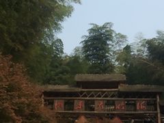 -宁波浙东大竹海景区