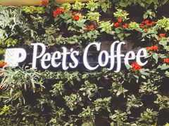 -Peet's Coffee皮爷咖啡(德基店)