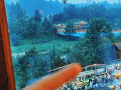 -印象鲵宴·张家界地标美食名片(溪布街店)