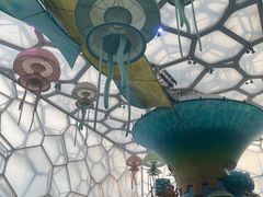 -水立方嬉水乐园