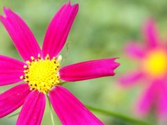 -白渔泡湿地公园