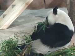-南宁市动物园