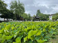 -丝绸小镇荻港古村