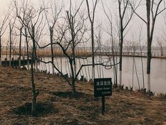 -绿堤公园