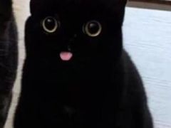 -南门头上美食街