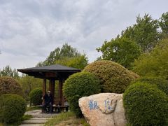 -莫子山公园