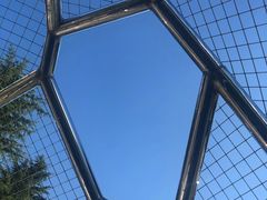 -金泽21世纪美术馆