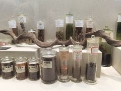 -广东中医药博物馆