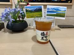 -巴音郭楞蒙古自治州博物馆