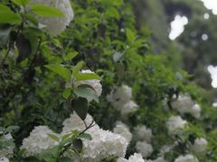 -凤凰御元艺术基地