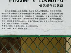 -柳州市动物园
