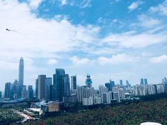 -荔枝公园-小平画像广场