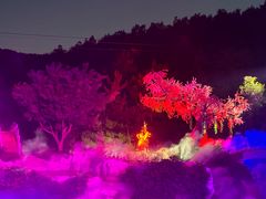 -《神游传奇》秀