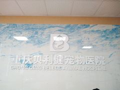 -宠颐生贝利健动物医院(谢家湾分院)