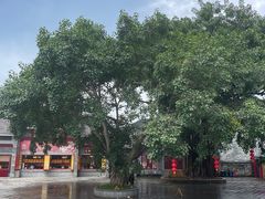 -悦城龙母祖庙
