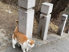 -北京凤凰岭