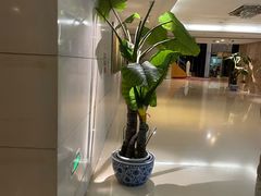 -乔波室内滑雪场