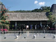 -亚龙湾热带天堂森林公园