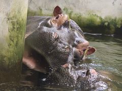 -大连森林动物园