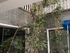 -缘福乡村铁锅炖民宿(八达岭店)