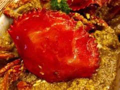 -茉莉.Red Crab