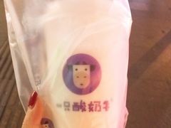 -一只酸奶牛(八一路店)