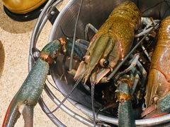 -初色海鲜自助(万丰路店)