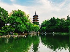 -红梅公园
