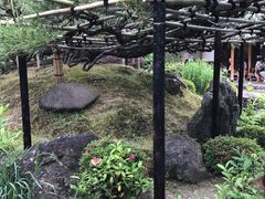 -中村藤吉(本店)