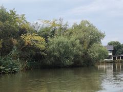 -西溪国家湿地公园