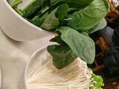 -京门老爆三·铜锅涮肉 爆肚(望京店)