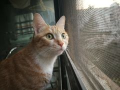 -芭比堂动物医院·犬猫全科·异宠专科(雁塔分院)