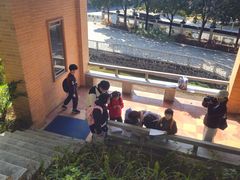 -广州七星岗古海岸遗址科学公园