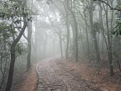 -西湖风景区十里琅珰-五云山